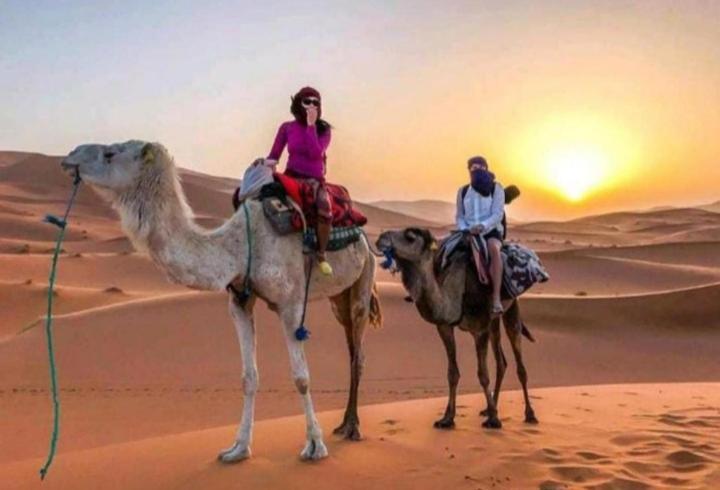 Desert Berber Fire Camp Merzouga Eksteriør bilde